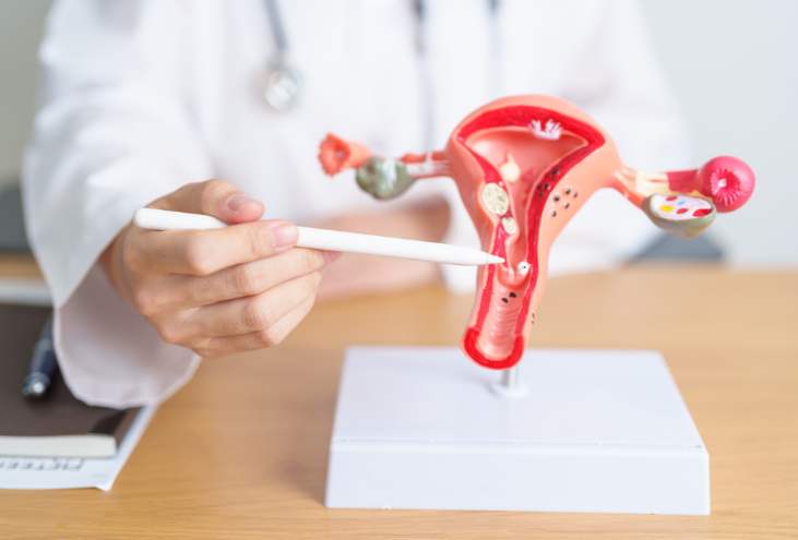 Thin Endometrial Lining: Causes, Treatments, and When to Be Concerned