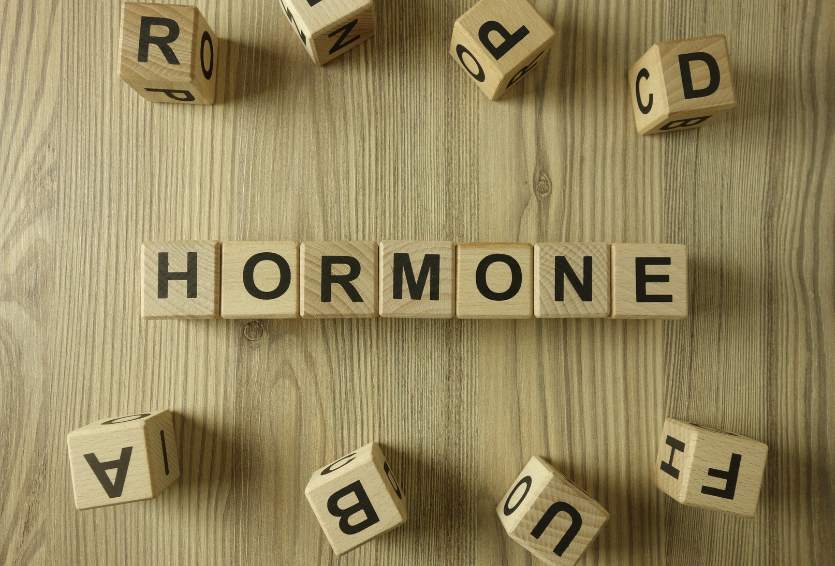 Hormone Receptor Sensitivity: Why “Normal” Estrogen Levels May Not Be Enough