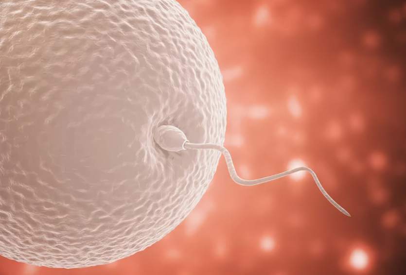 Sperm Retrieval Procedures: TESE vs. Micro-TESE Explained