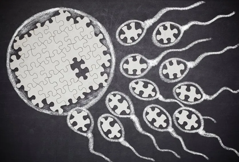 Fertility and Autoimmune Conditions: Why Hashimoto’s, Lupus, and RA Can’t Be Ignored in Treatment Planning