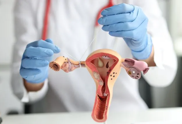 Blocked Fallopian Tubes: Causes, Symptoms, and Your Fertility Options