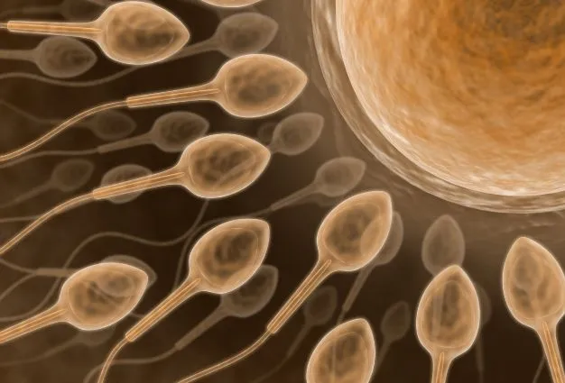 Azoospermia Explained: What It Means When There’s No Sperm in the Semen