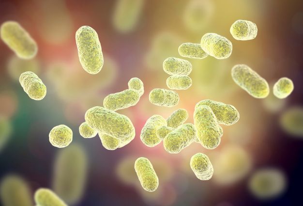 The Role of Microbiome Health in Fertility and Pregnancy