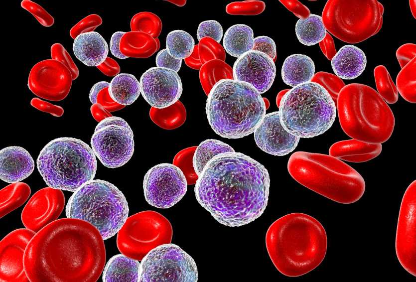 Immunology and IVF: When Your Immune System Works Against Conception