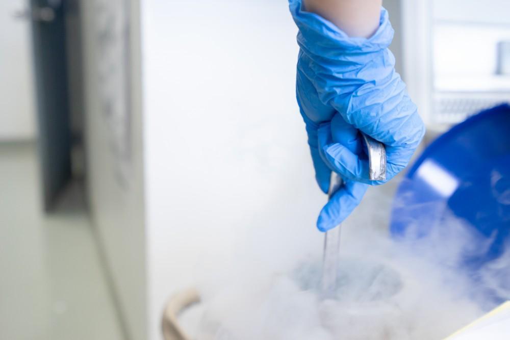 What Is a Mock Embryo Transfer and Why Might Your Doctor Recommend It?