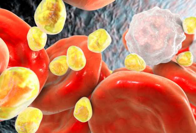 High Prolactin Levels and Fertility: Recognizing the Signs of Hyperprolactinemia