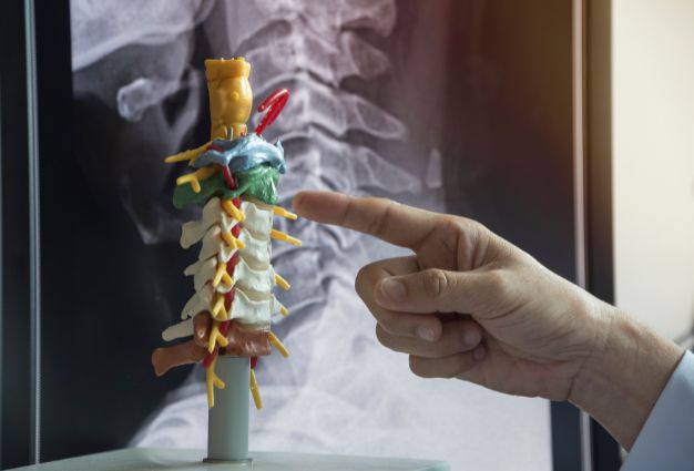 Cervical Mucus and Fertility: What Your Body Is Telling You Each Cycle